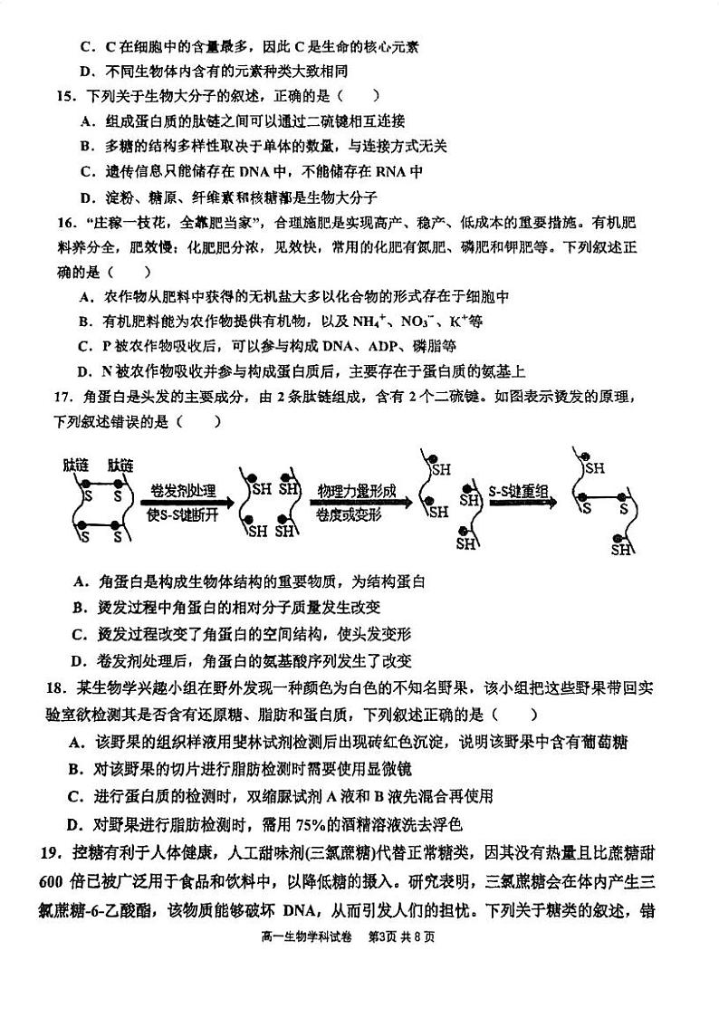 天津市宝坻区第一中学2023-2024学年高一上学期第一次月考生物试题03