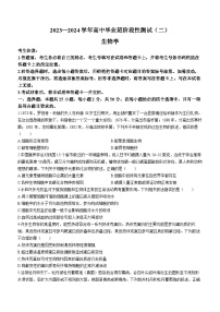 河南省大联考2023-2024学年高三上学期阶段性测试（二）生物试题