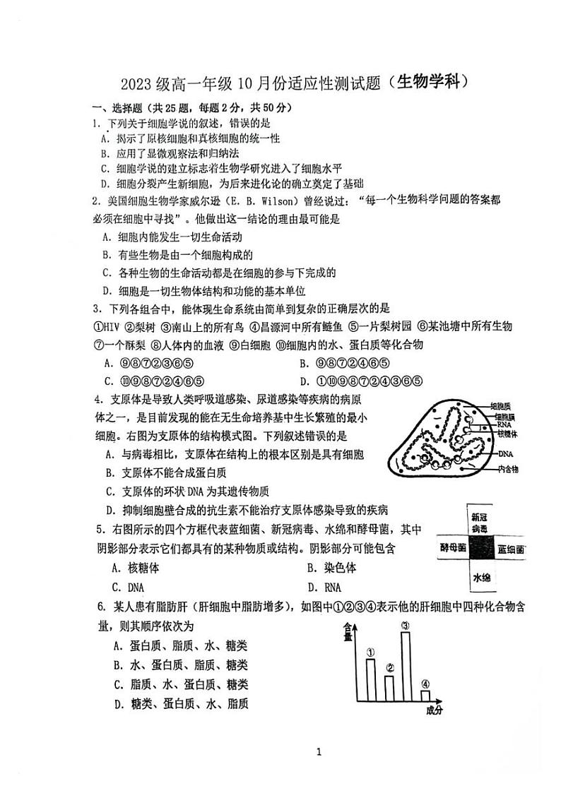 北京首都师范大学附属中学2023-2024学年高一上学期10月月考生物试题01