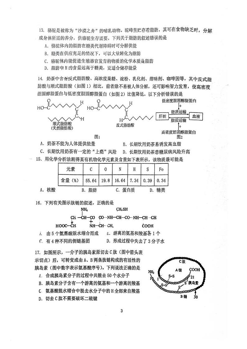 北京首都师范大学附属中学2023-2024学年高一上学期10月月考生物试题03
