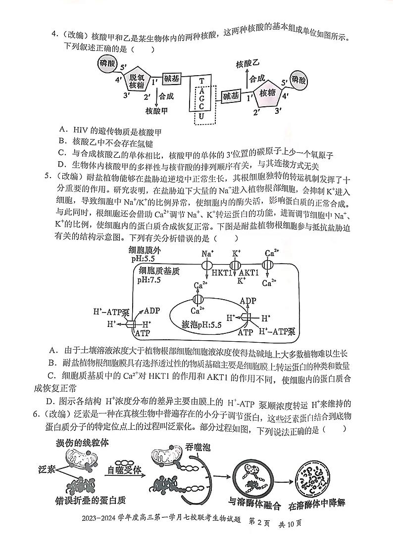 重庆市七校2023-2024学年高三上学期第一次月考生物试题第2页