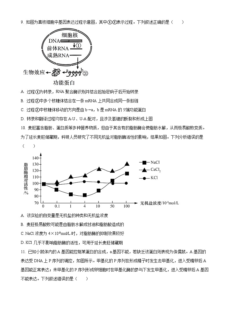 浙江省浙南名校联盟2023-2024学年高三上学期第一次联考生物试题无答案第3页