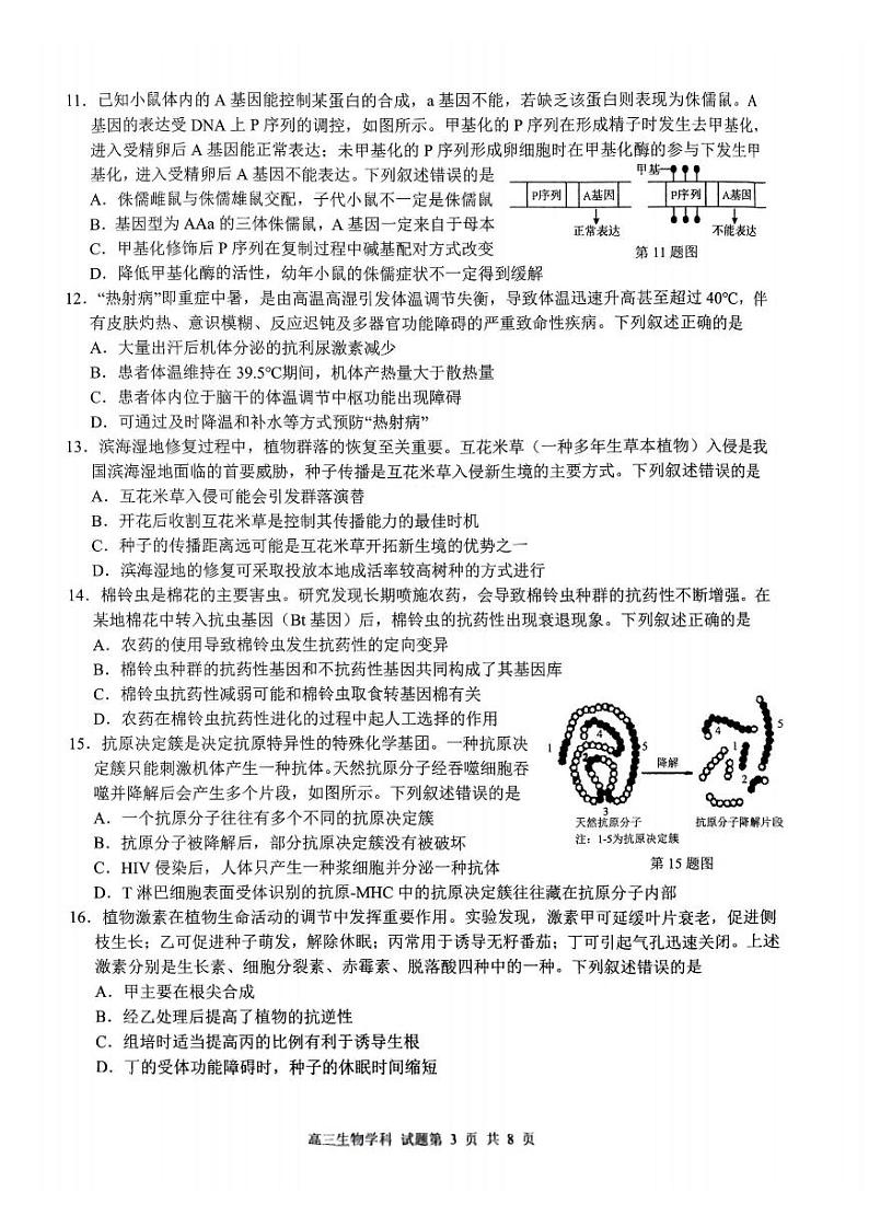 2024浙江省浙南名校联盟高三上学期第一次联考生物试题扫描版含答案03