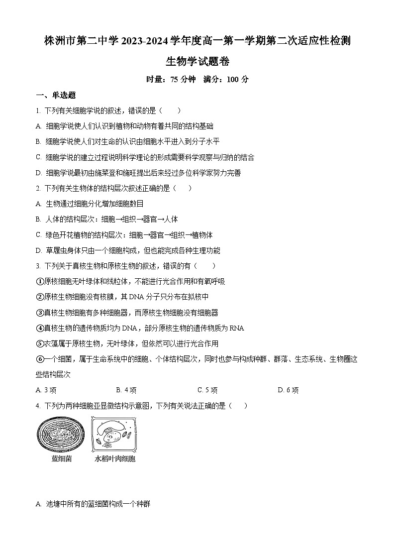 2024株洲二中高一上学期第二次适应性检测生物试题含解析01