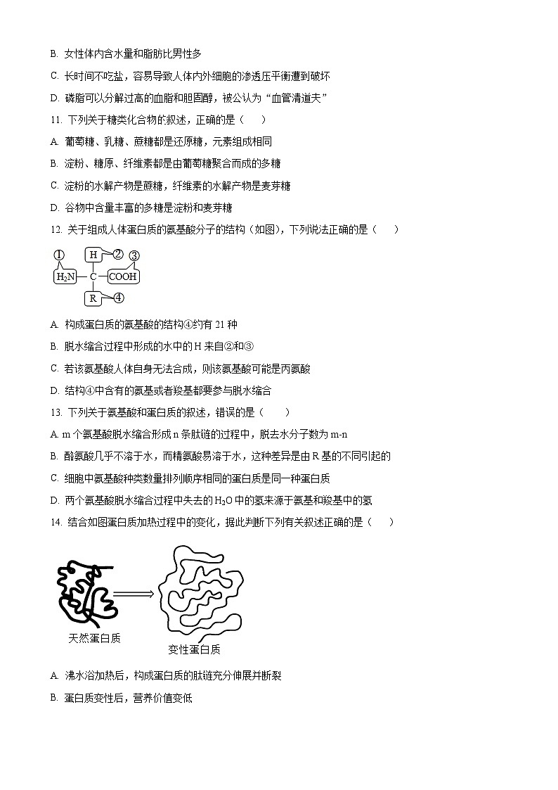 2024株洲二中高一上学期第二次适应性检测生物试题含解析03