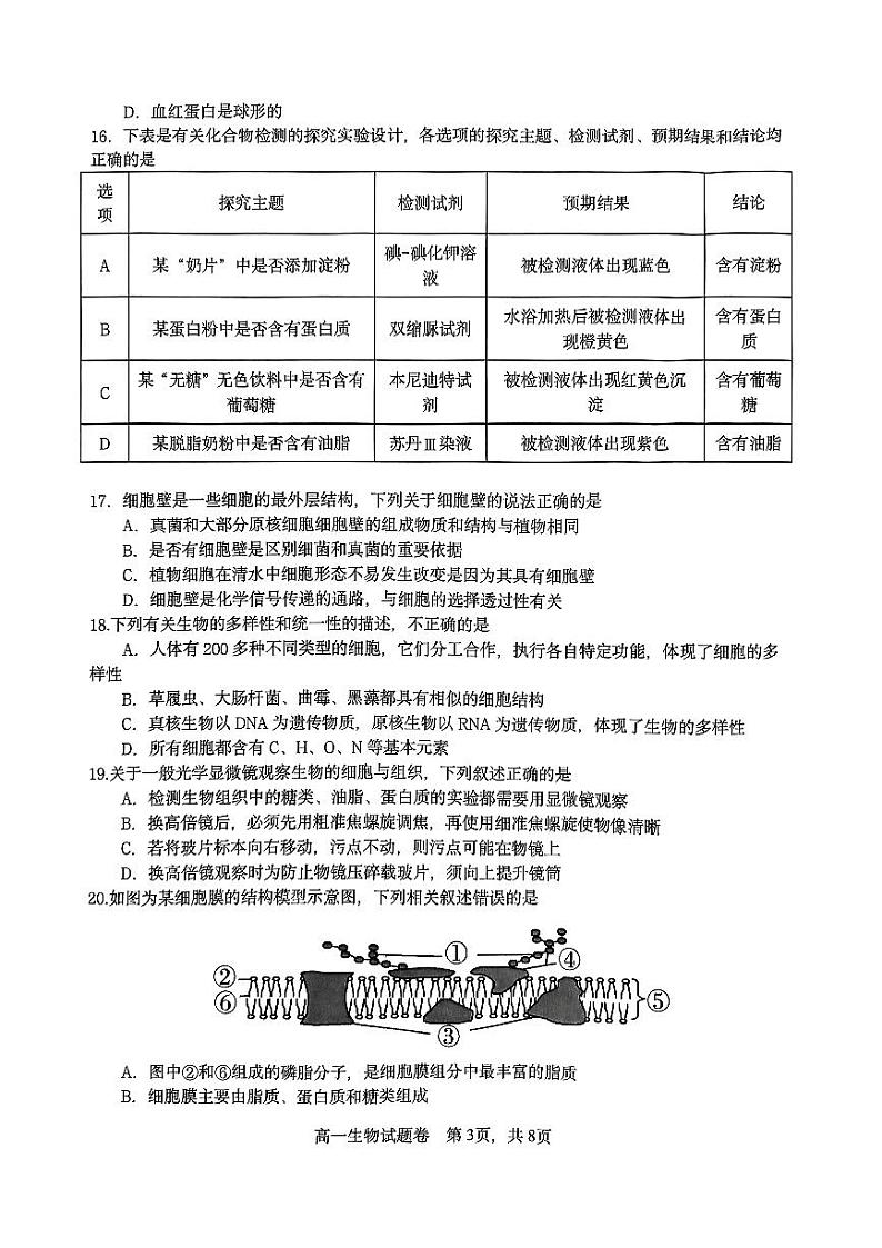 2024杭州四校高一上学期10月联考试题生物PDF版含答案03