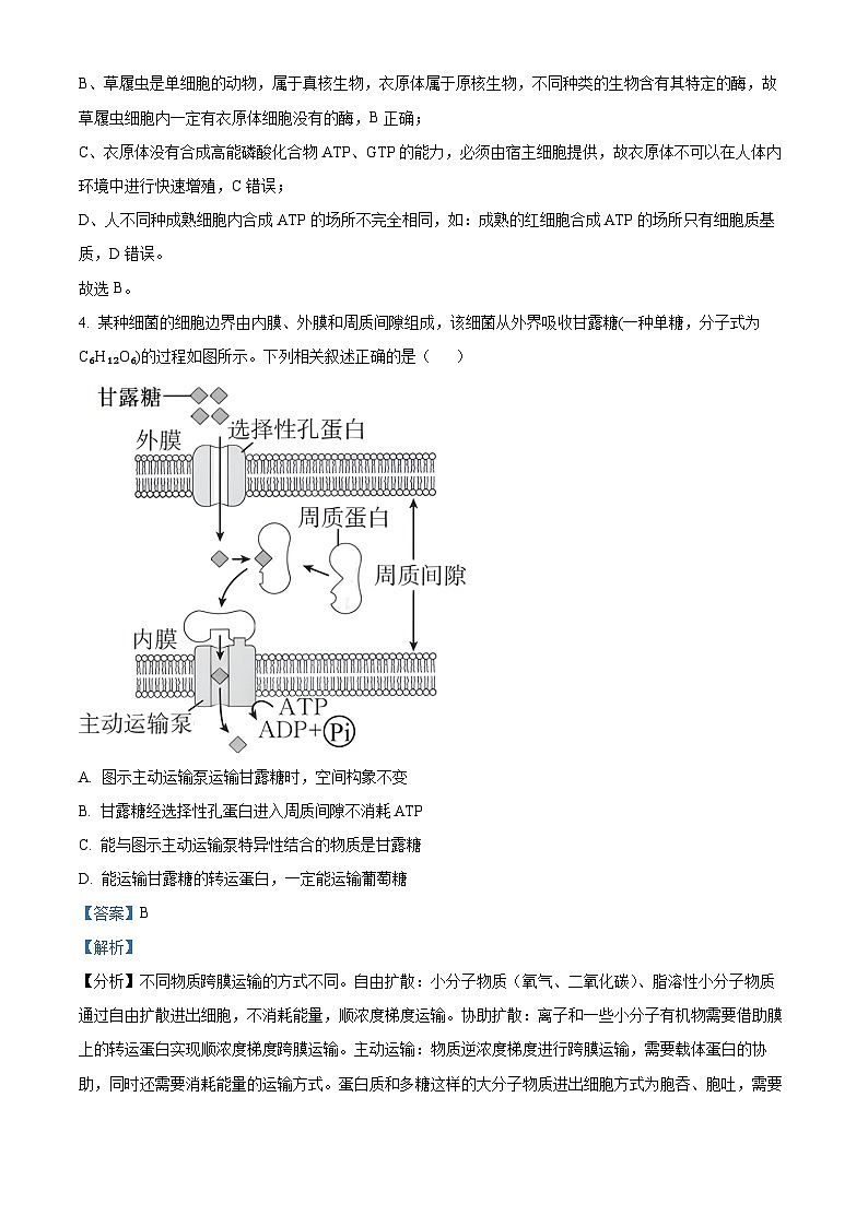 安徽省皖豫名校联盟2023-2024学年高三生物上学期第一次大联考试题（Word版附解析）第3页