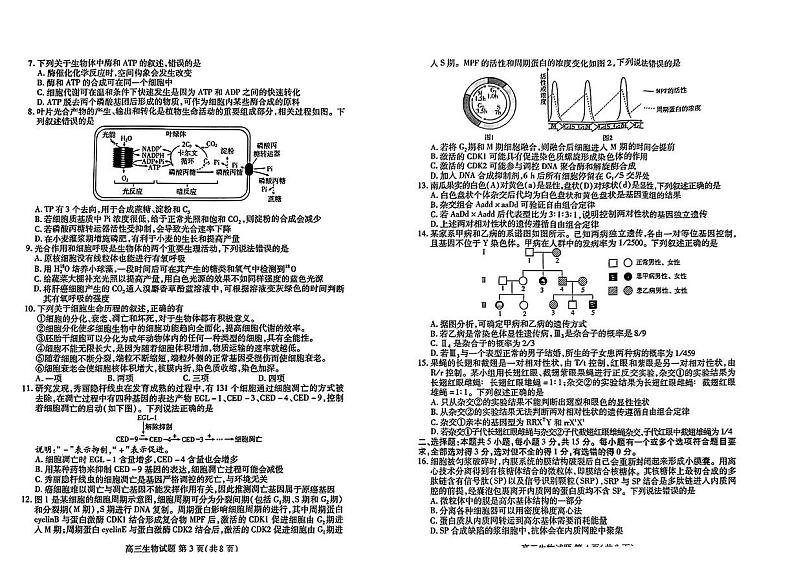 山东新高考联合质量测评2024届高三生物上学期10月联考试题（PDF版附答案）第2页