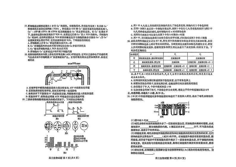 山东新高考联合质量测评2024届高三生物上学期10月联考试题（PDF版附答案）第3页