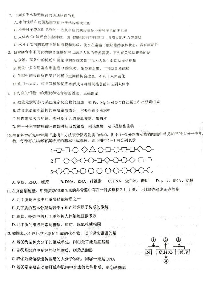 江苏省徐州市第三中学2023-2024学年高一上学期10月月考生物试题（月考）第2页