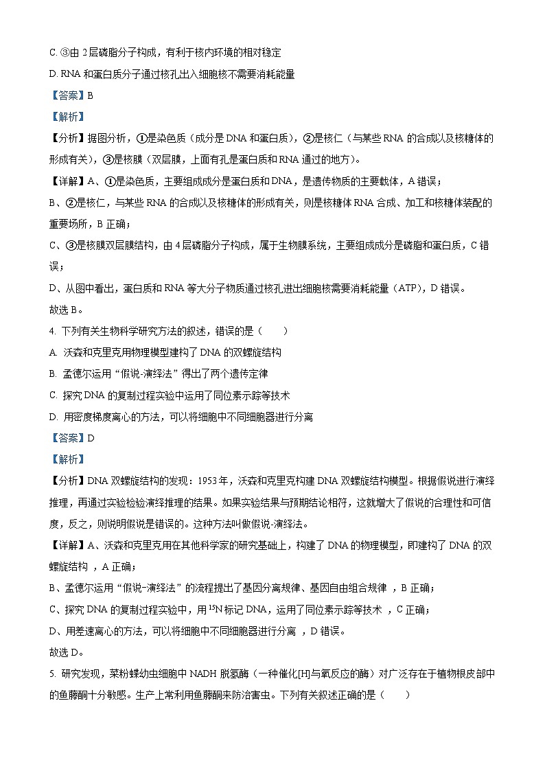 浙江省杭州市四校2023-2024学年高二生物上学期10月联考试题（Word版附解析）03