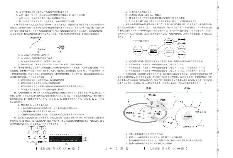 山东中昇2023-2024学年高三上学期10月大联考生物试题及答案02