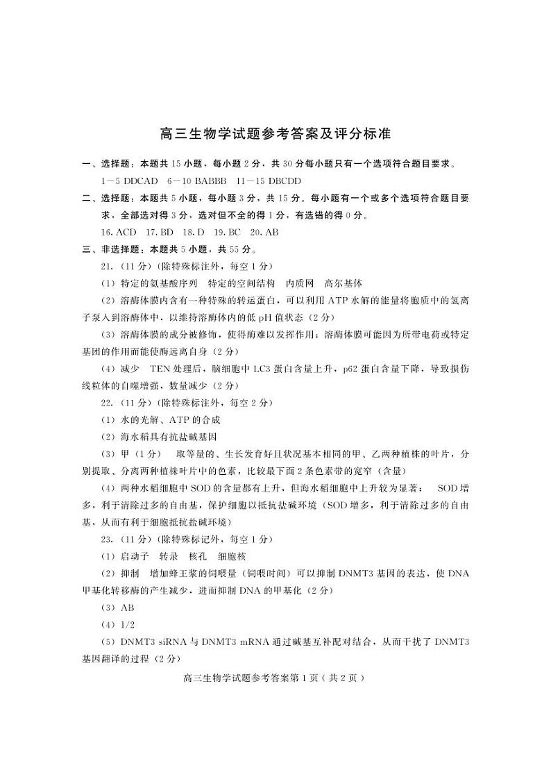 2024届山东省潍坊市高三上学期10月过程性检测 生物答案第1页