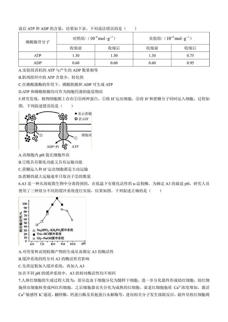 2024届山东省潍坊市高三上学期10月过程性检测 生物第2页