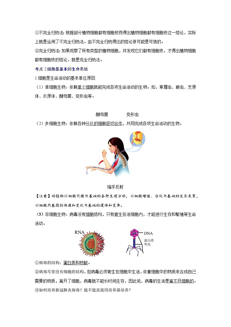 【期中单元知识点归纳】（人教版2019）2023-2024学年高一上学期生物 必修1 第一章  走近细胞 试卷.zip03
