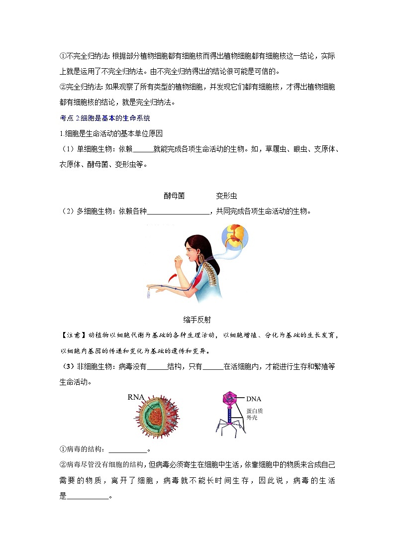 【期中单元知识点归纳】（人教版2019）2023-2024学年高一上学期生物 必修1 第一章  走近细胞 试卷.zip03