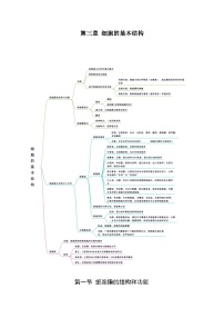 【期中单元知识点归纳】（人教版2019）2023-2024学年高一上学期生物 必修1 第三章 细胞的基本结构 试卷.zip