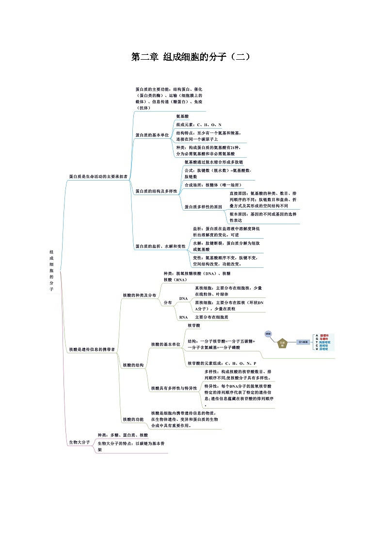【期中单元知识点归纳】（人教版2019）2023-2024学年高一上学期生物 必修1 第二章 组成细胞的分子（二） 试卷.zip01