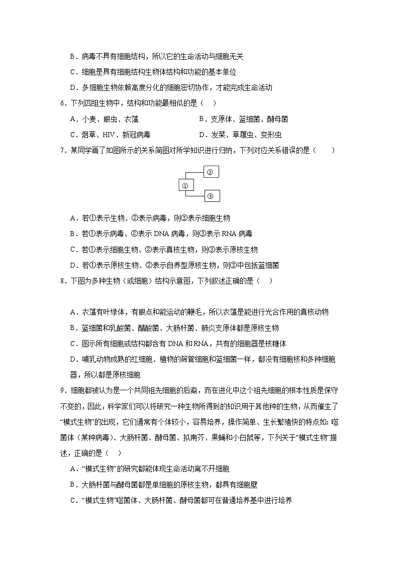 【期中模拟卷】（人教版）2023-2024学年高一上学期生物 必修1 第一章 走近细胞 基础卷.02