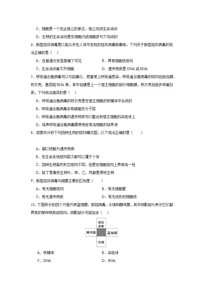 【期中模拟卷】（人教版）2023-2024学年高一上学期生物 必修1 第一章  走近细胞提升卷（原卷版）第2页
