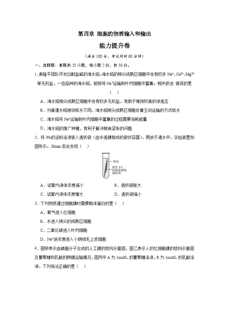 【期中模拟卷】（人教版）2023-2024学年高一上学期生物 必修1 第四章 细胞的物质输入和输出提升卷（原卷版）第1页