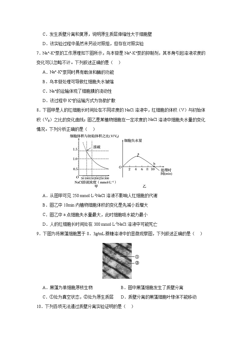【期中模拟卷】（人教版）2023-2024学年高一上学期生物 必修1 第四章 细胞的物质输入和输出提升卷（原卷版）第3页