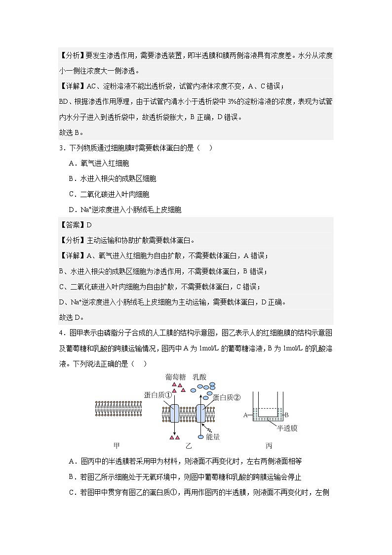 【期中模拟卷】（人教版）2023-2024学年高一上学期生物 必修1 第四章 细胞的物质输入和输出提升卷（解析版）第2页
