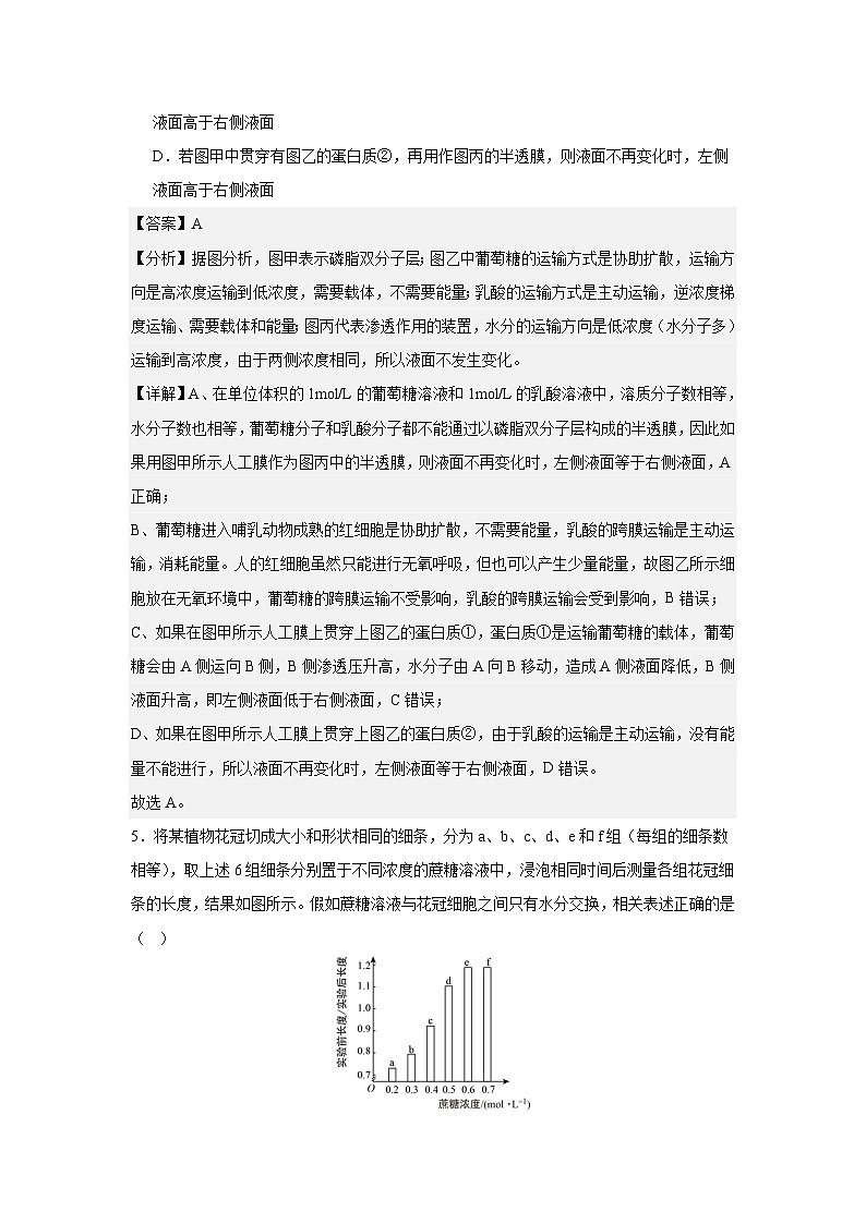 【期中模拟卷】（人教版）2023-2024学年高一上学期生物 必修1 第四章 细胞的物质输入和输出提升卷（解析版）第3页