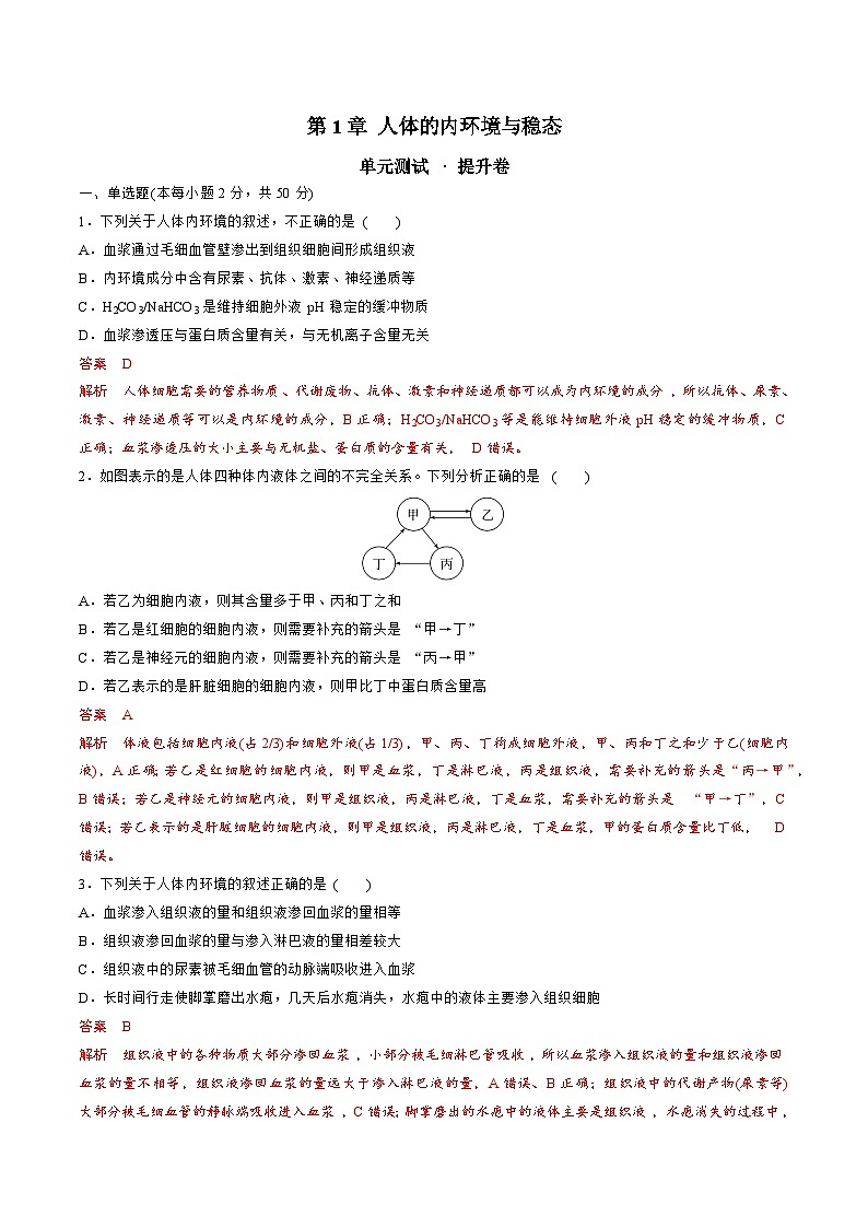 【期中模拟卷】（人教版2019）2023-2024学年高二上学期生物 第1章 人体的内环境与稳态 提升卷（解析版）第1页