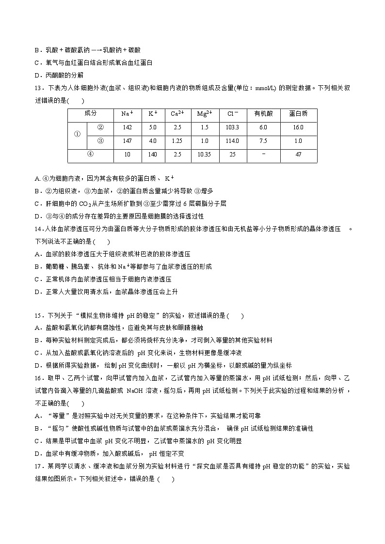 【期中模拟卷】（人教版2019）2023-2024学年高二上学期生物 第1章 人体的内环境与稳态 基础卷（原卷版）第3页