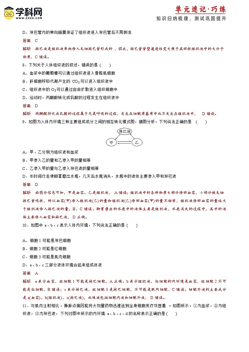 【期中模拟卷】（人教版2019）2023-2024学年高二上学期生物 第1章 人体的内环境与稳态 基础卷（解析版）第3页