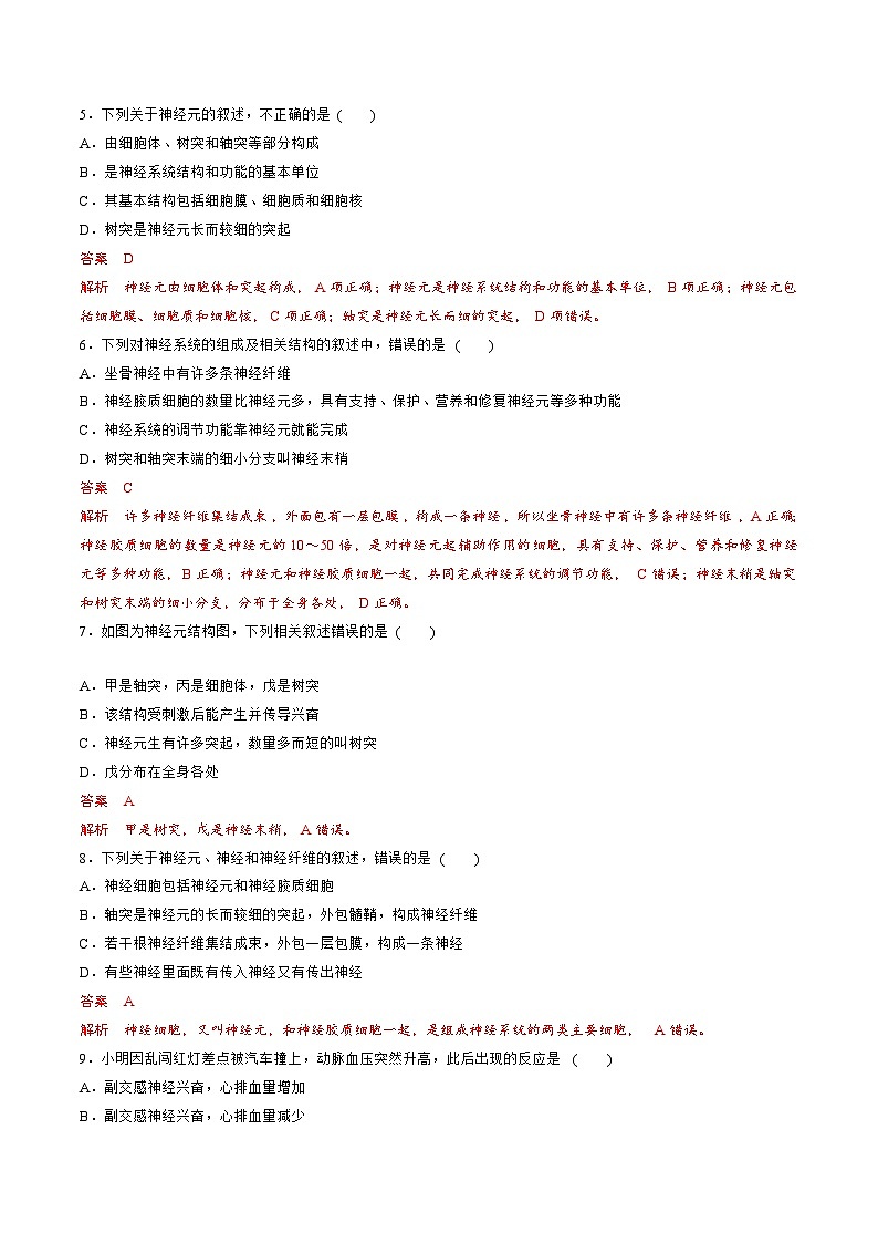 【期中模拟卷】（人教版2019）2023-2024学年高二上学期生物 第2章  神经调节 基础卷（解析版）第2页