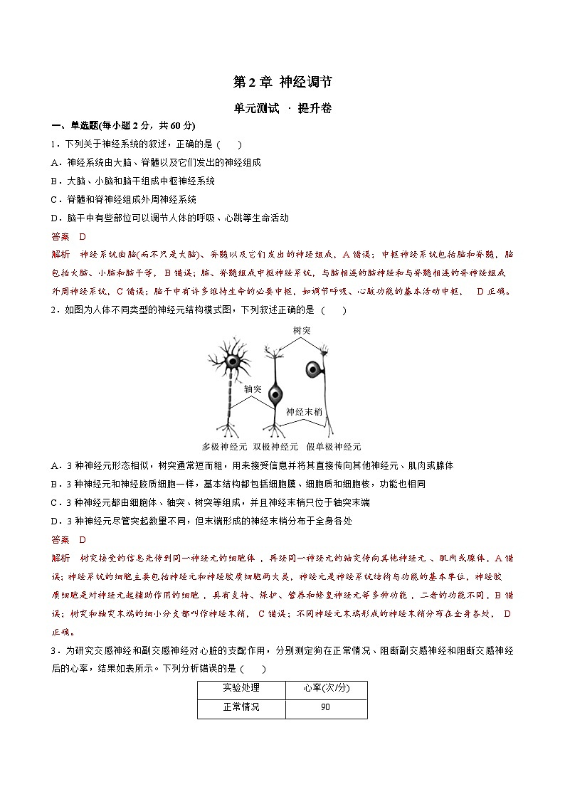 【期中模拟卷】（人教版2019）高二上学期生物 选择性必修1 第2章 神经调节 测试卷01