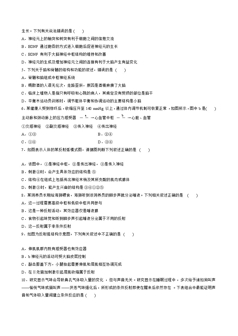 【期中模拟卷】（人教版2019）高二上学期生物 选择性必修1 第2章 神经调节 测试卷02