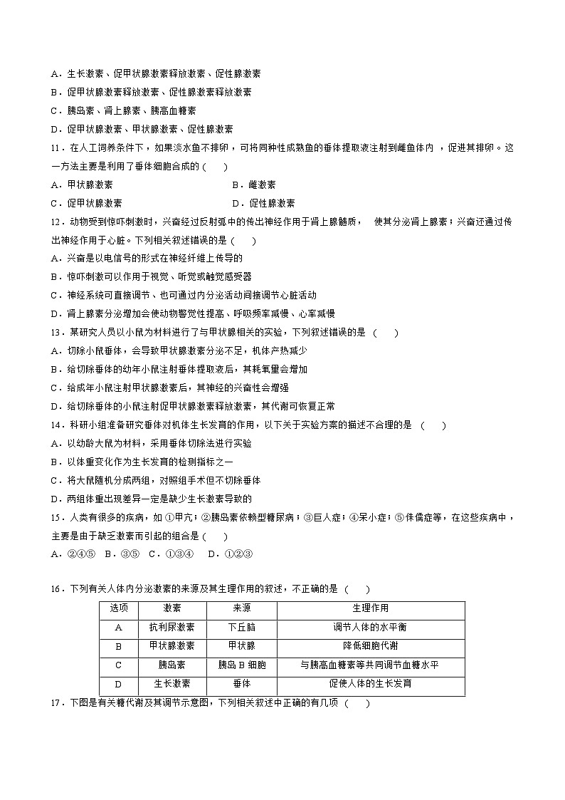 【期中模拟卷】（人教版2019）2023-2024学年高二上学期生物 第3章 体液调节 基础卷（原卷版）第3页