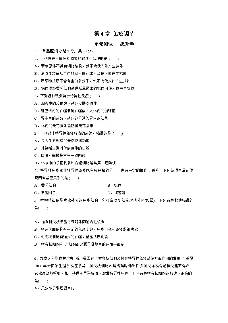 【期中模拟卷】（人教版2019）高二上学期生物 选择性必修1 第4章 免疫调节测试卷01