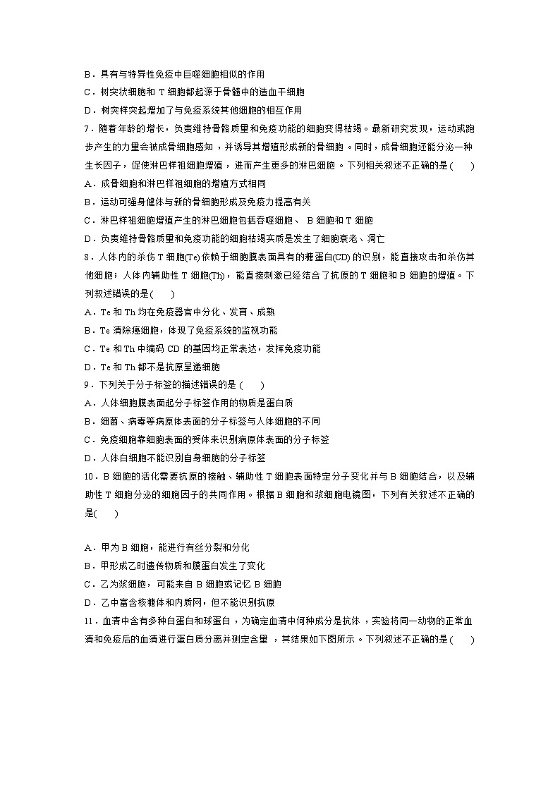 【期中模拟卷】（人教版2019）高二上学期生物 选择性必修1 第4章 免疫调节测试卷02