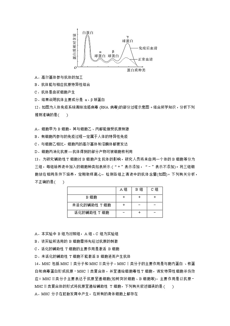 【期中模拟卷】（人教版2019）高二上学期生物 选择性必修1 第4章 免疫调节测试卷03