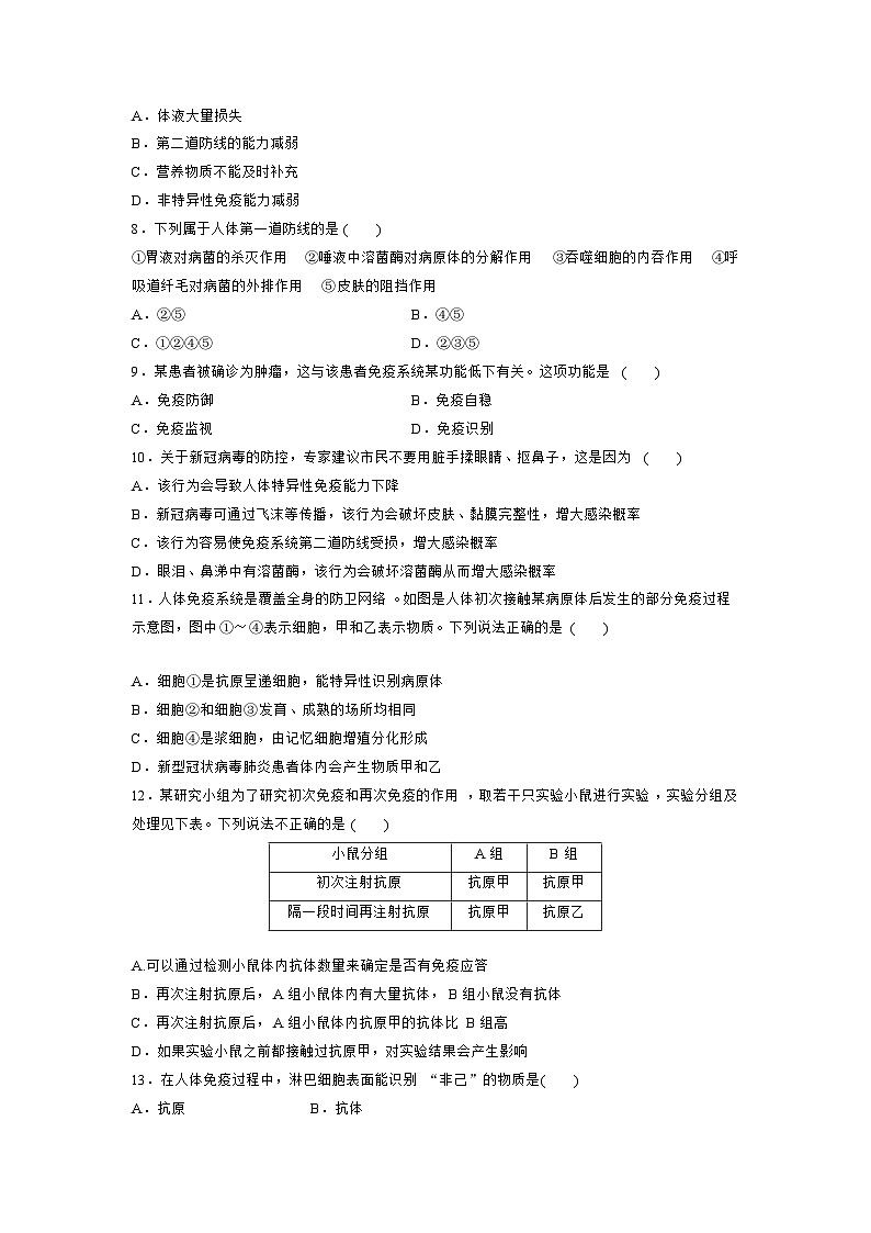 【期中模拟卷】（人教版2019）2023-2024学年高二上学期生物 第4章 免疫调节 基础卷（原卷版）第2页