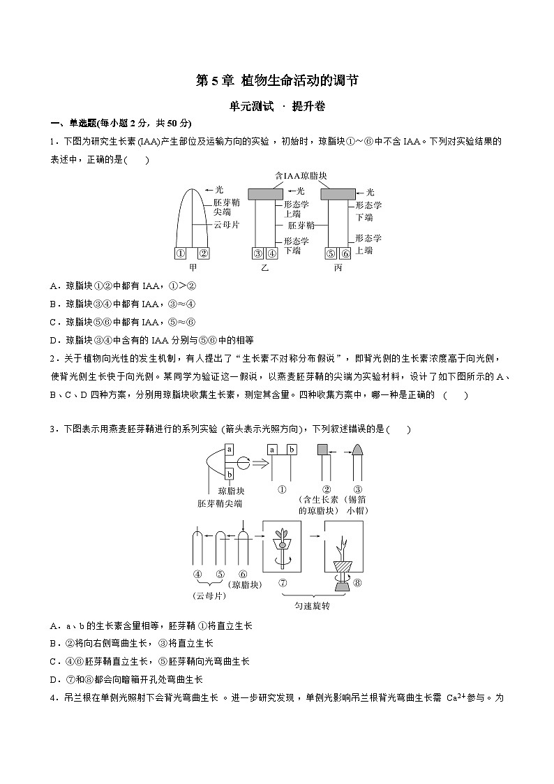 【期中模拟卷】（人教版2019）2023-2024学年高二上学期生物 第5章 植物生命活动的调节 提升卷（原卷版）第1页