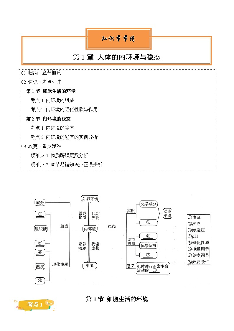 【期中单元知识点归纳】（人教版2019）2023-2024学年高二上学期生物 第1章 人体的内环境与稳态（试卷）第1页