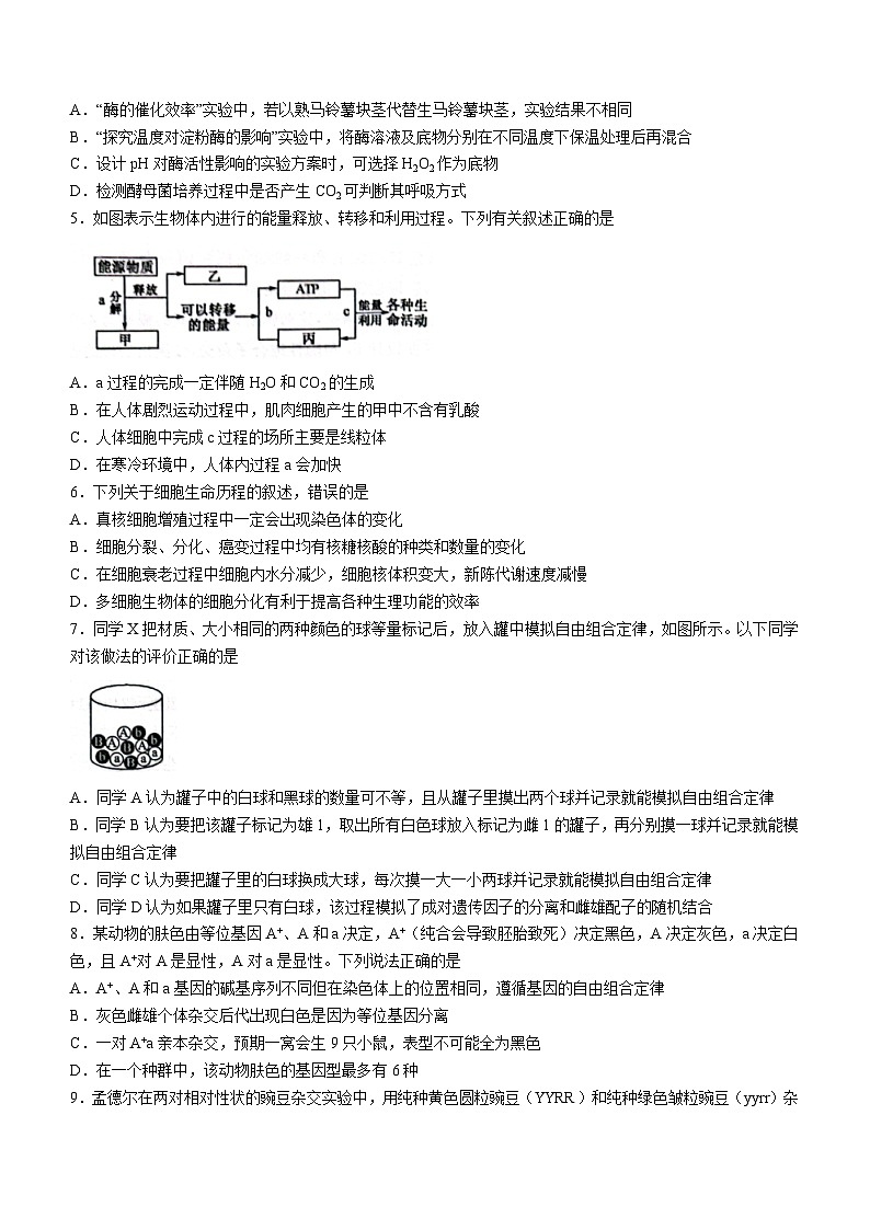 河北省邯郸市涉县中学等校2023-2024学年高三上学期质量检测二（新课标卷）生物试题02