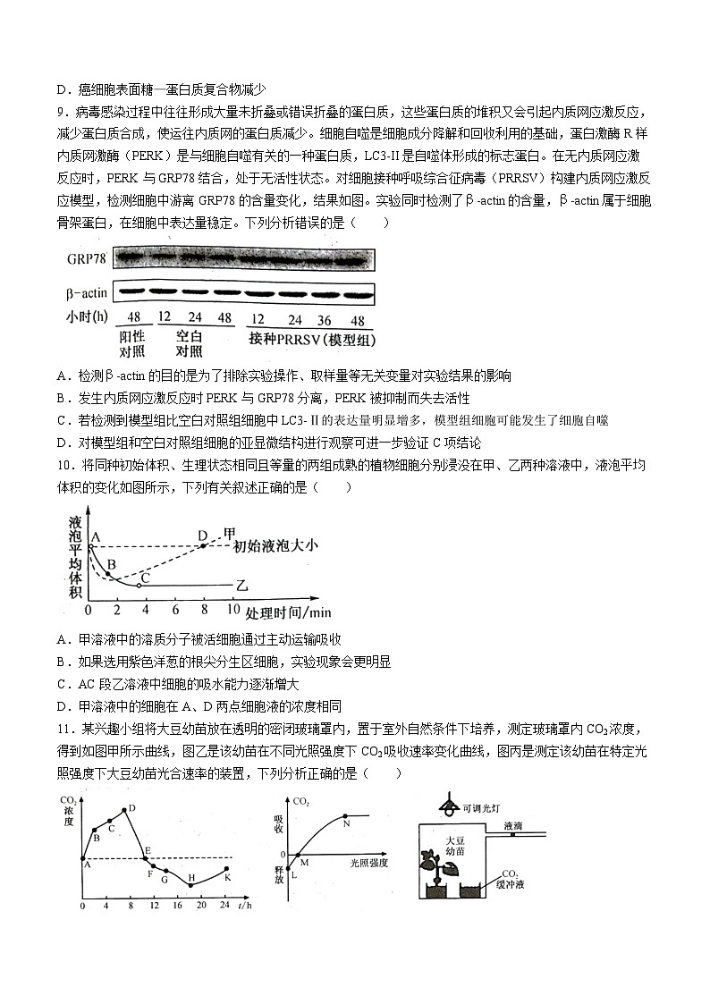 河南省TOP二十名校2023-2024学年高三上学期调研考试四生物试题第3页