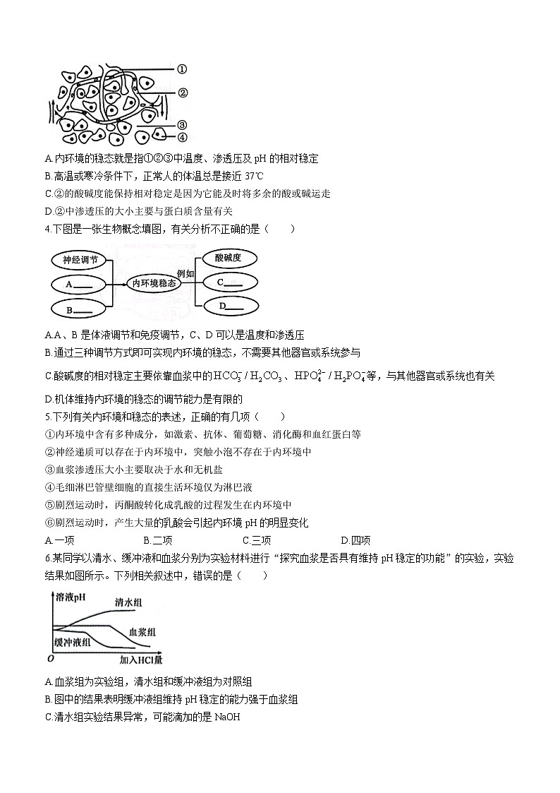 辽宁省重点高中沈阳市郊联体2023-2024学年高二上学期10月月考生物试题02