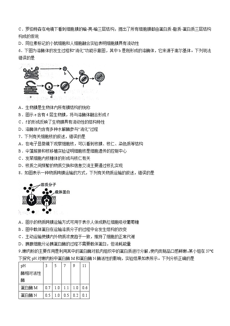 陕西省榆林市榆林靖边中学、绥德中学、府谷中学联考2023-2024学年高三10月月考生物试题02