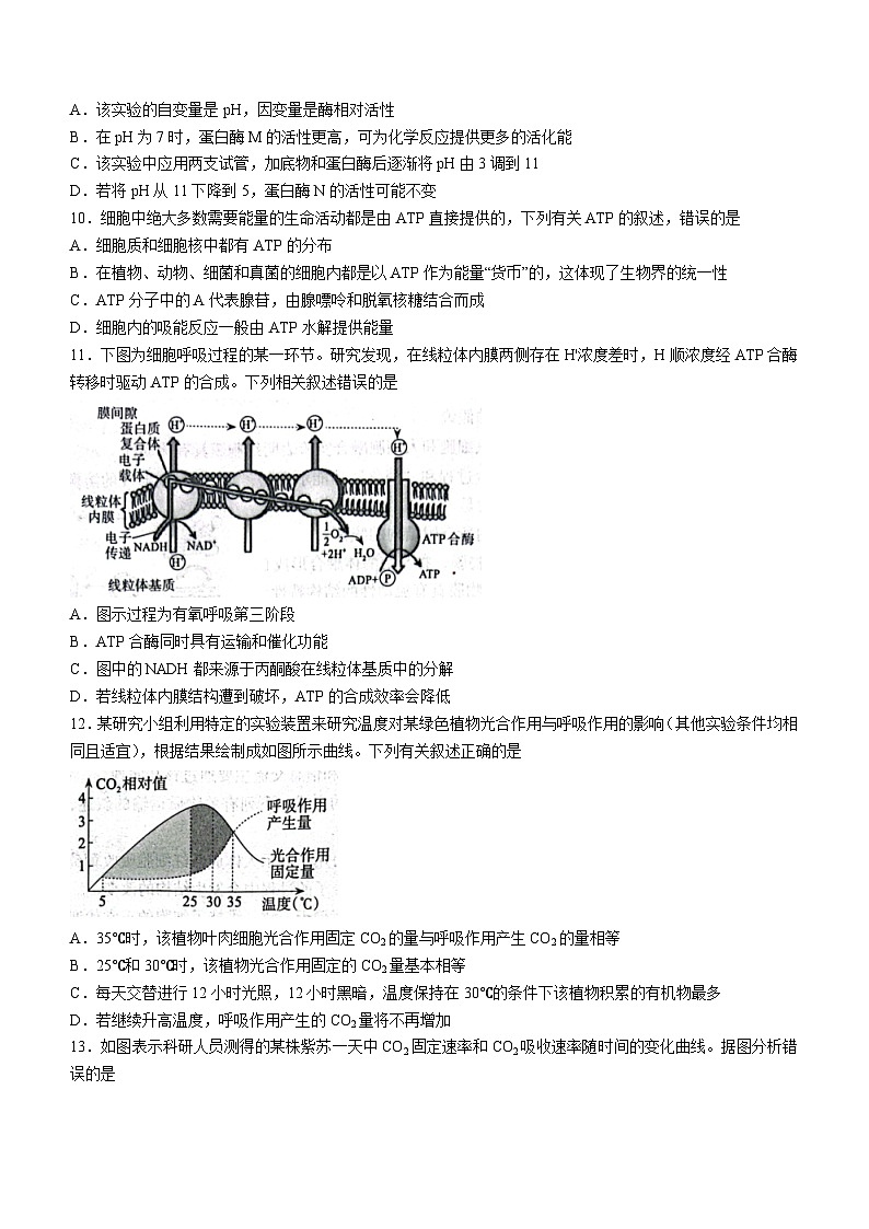 陕西省榆林市榆林靖边中学、绥德中学、府谷中学联考2023-2024学年高三10月月考生物试题03