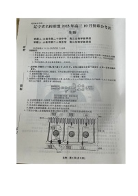 2024辽宁省名校联盟高三上学期10月联考试题生物图片版含答案