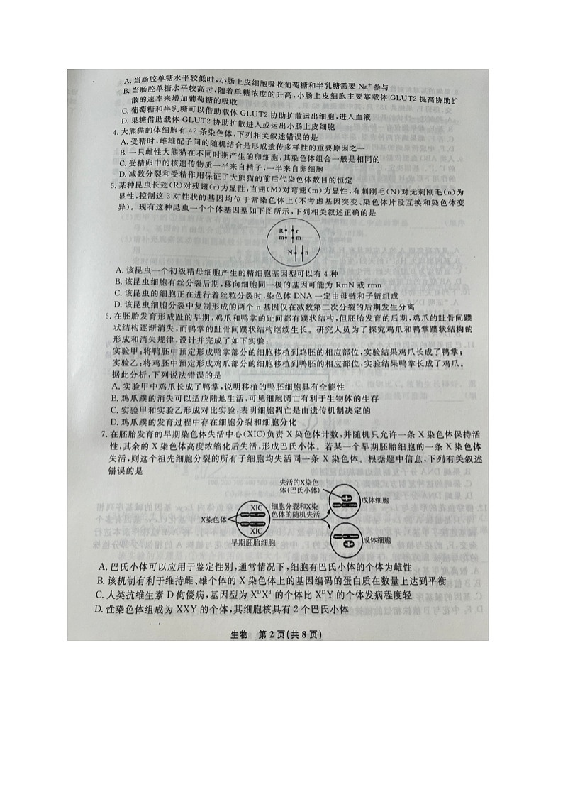 辽宁省名校联盟2023-2024学年高三10月联考生物试题第2页