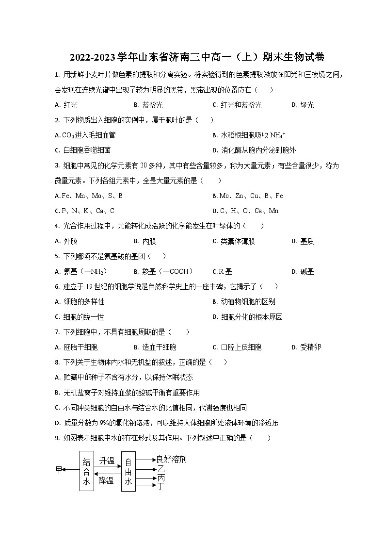 山东省济南第三中学2022-2023学年高一上学期期末生物试题第1页