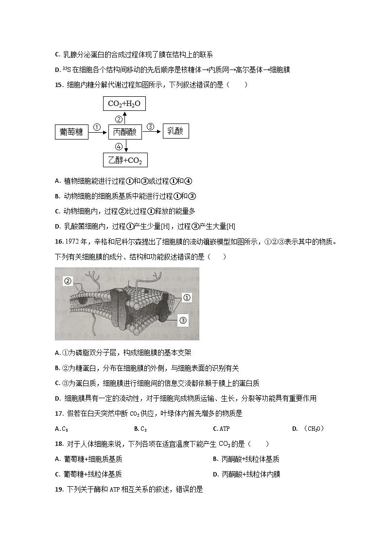 山东省济南第三中学2022-2023学年高一上学期期末生物试题第3页